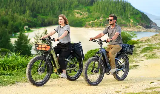 Electric Bike Mokwheel